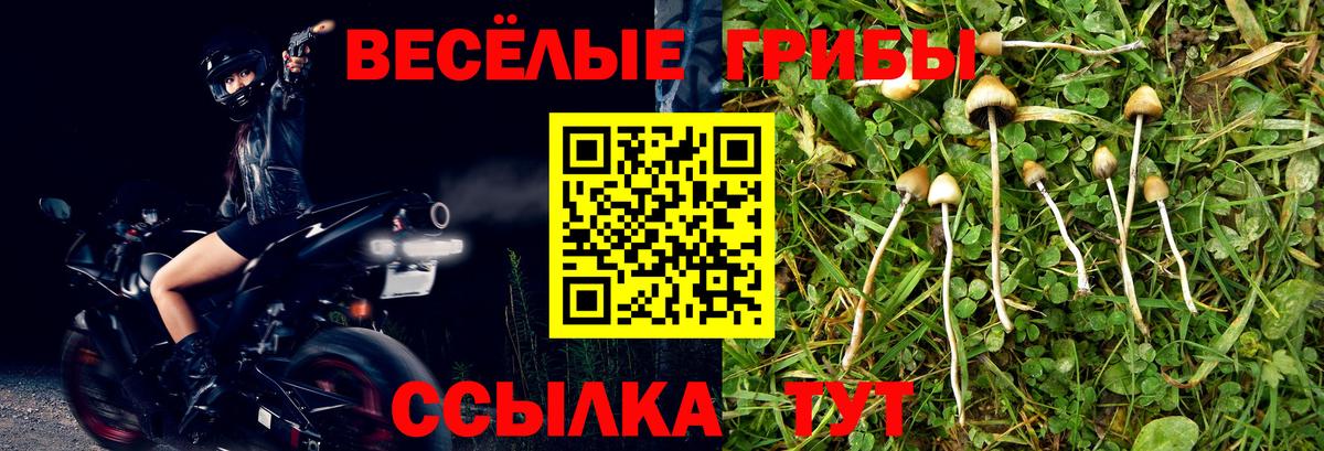Аксай  Галлюциногенные грибы Magic Shrooms  Вход с VPN 