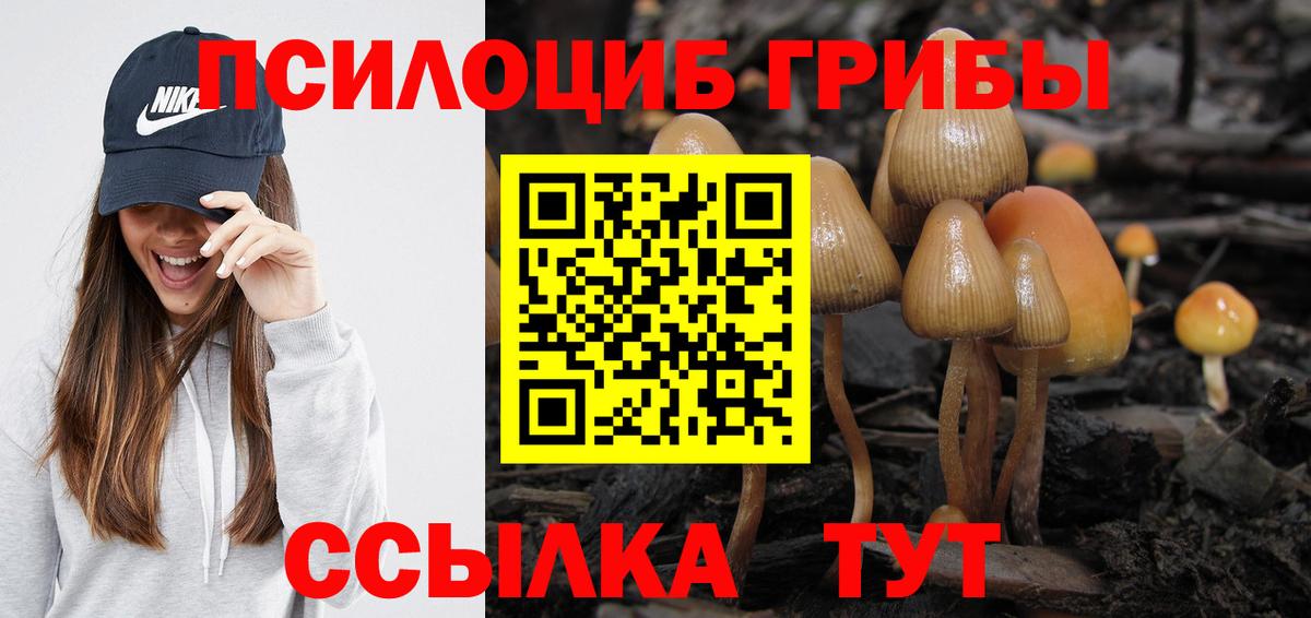 Галлюциногенные грибы MAGIC MUSHROOMS Аксай